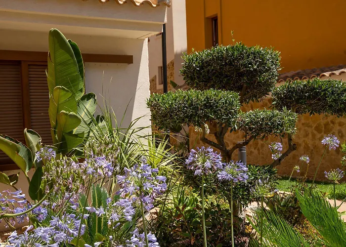 דירה Punta Prima Punta Prima (Alicante)